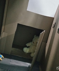 ��ͷ��һ�䣬�ְ֣������һ�����ĳǱ��ɣ��ְ�����������