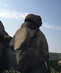 �򿨳ɶ���è���� ������ô��poss���ÿɰ�