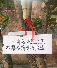 这样的告示文明又有涵养,为主人点赞