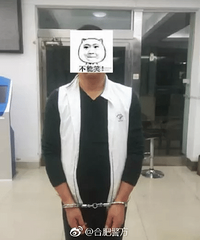 快讯!张学友演唱会合肥站,9名逃犯落网!