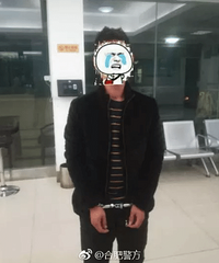 快讯!张学友演唱会合肥站,9名逃犯落网!