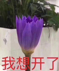 24岁,已经到了被挑挑选选的地步了?