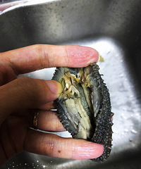 ���ɺ��ε��ݷ��̳� ����������