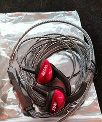 WRZ �ص����˶�����6Ԫ