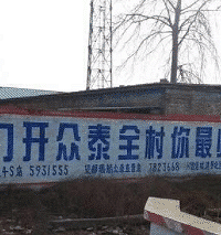 ��̩������666��