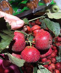 ���۸��᡿������Ĺ��ʽ������ţ��Ϲ���������