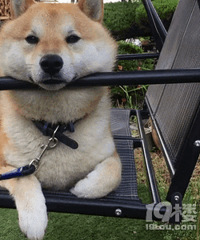 ���������⡿���Ѿ���������ǰ���������ôӦ�ԣ�