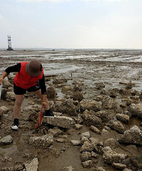 �ػ�������.�ú����