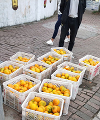 �������ġ�����Խ��Խ���óԣ��ǲ��ǣ�