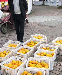 �������ġ�����Խ��Խ���óԣ��ǲ��ǣ�