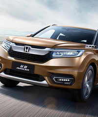 ���01�͹ڵ���ѡһ��ѡ�ĸ���