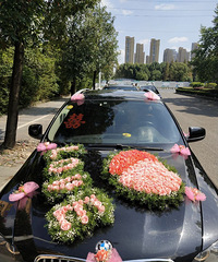 ��һ�μ����ϲ�Ƿ�ʮ��������