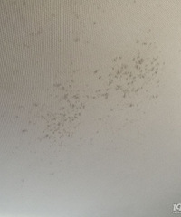 ��������С������ù����ô������