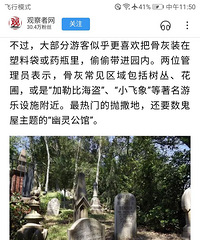 ��ʿ����԰�����ǻң�ÿ������������һ�Ρ���