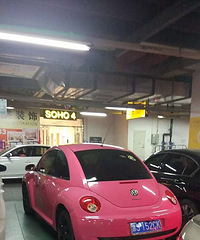 ��׽һ���׿ǳ�С����