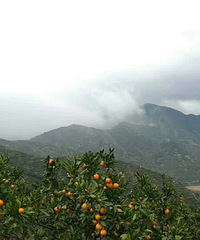 �����Լ�ӿȪ��ɽ�۽ۼ۸�ʵ��