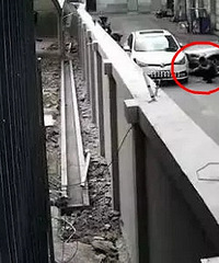 �����Ϸ��ֳ��������Ŀ���˿��ԭ���Ǳ���˾���������·��Ϊ