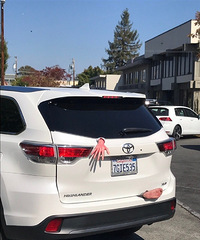 ��Ӧ�����ǳɱ���͵���ʥ�����ͣ��򵥿ɰ�^_^^_^^_^