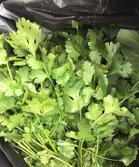 ����������ֵ���ˣ���ʮ������ڱ�����