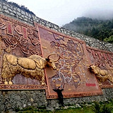 一路向西去稻城
