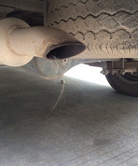 ��������ά˿����ҿ�֪������