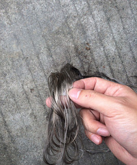 ��������ά˿����ҿ�֪������