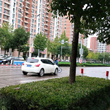 为什么不礼让