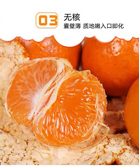 �óԵ����ڵ�ӿȪ����������