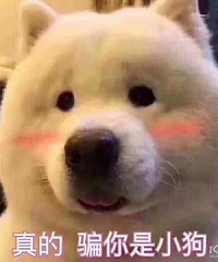 ���۸��᡿��Сѧͬѧ�����ȥ��