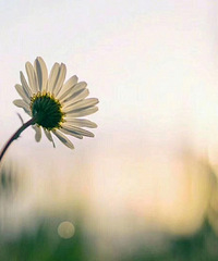 ���۸��᡿�����˼޵��˳�����ǲ��Ƕ�����