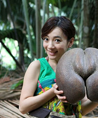 ������ĿǰΪֹ���������������ˮ����û��֮һ��