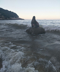 92���ٺ�С��㽷���ϰ࣬ϣ��2020ǰ���ѵ�