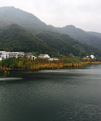 宁溪乌岩头古村 下个月应该就能看红杉了