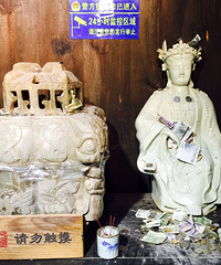 宁溪乌岩头古村 下个月应该就能看红杉了
