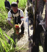 黄岩锦鲤上浙江卫视了!快来认识一下
