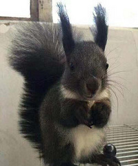 ��ӭ˽���ң�������ô��Ŵ�ħ����ȥ���䣬��ͷ�ʱ�����