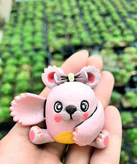 ���������Ľ��֮��