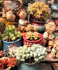 ���������Ľ��֮��