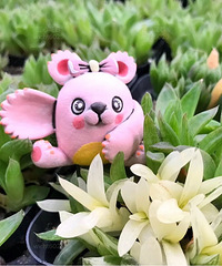 ���������Ľ��֮��