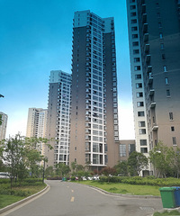 �����ֻ��79�죬��������Ů���鷿��׼��