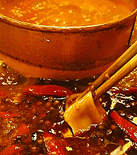 ���ٳ���������Ƭ�ˣ���DNA��⾹�첻������ɷ֣�