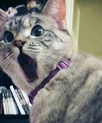 ֻʣ3�����֣���ҹ�������ڸ����Ͽ�10������...