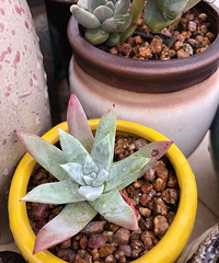 �������ġ����Ķ��⣬���ˮܽ�أ��Ҽ�������