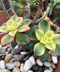 �������ġ����Ķ��⣬���ˮܽ�أ��Ҽ�������