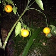 ¥�����ӻ���....