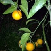 ¥�����ӻ���....