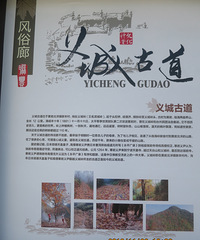 古道红枫义城岭 湿地红杉白鹭湾