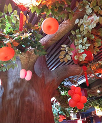 ũ�Һ��ʹݵĶ����� ��������ɫ��