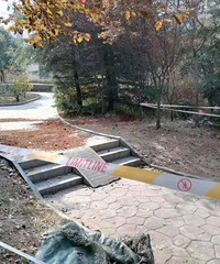 ���ޣ�24���д�ѧ��ͱ�����ĸ�ף�����15�����ĸ��û�к�