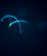 �����������߰��̲�Ӥ�����й��������޸Ļ����������������ȫ��